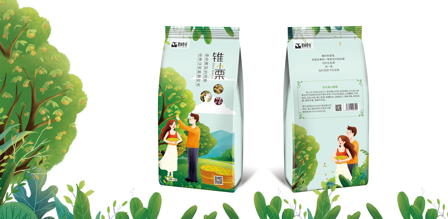 板栗包裝袋立體效果圖設(shè)計