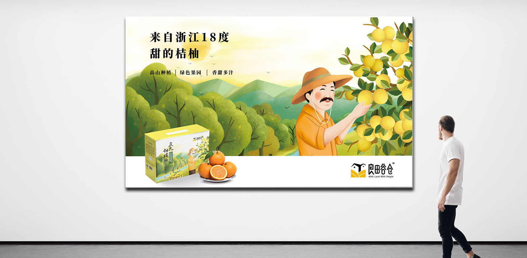 慶元橘柚包裝海報設(shè)計(jì)