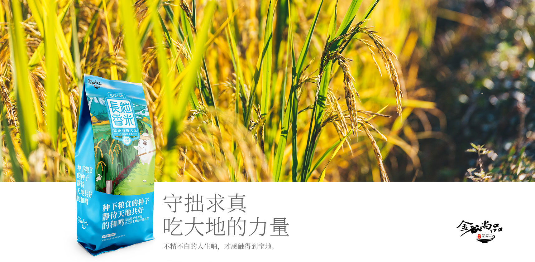 金谷尚品大米產(chǎn)品包裝設計氛圍