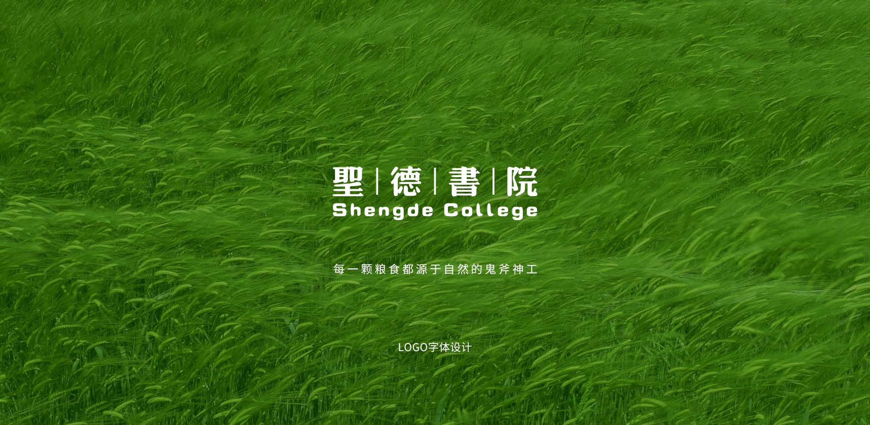 圣德書(shū)院五谷雜糧包裝設(shè)計(jì)封面設(shè)計(jì)