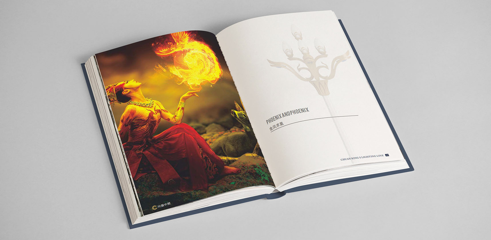 川強(qiáng)中照畫冊(cè)設(shè)計(jì)，產(chǎn)品宣傳冊(cè)