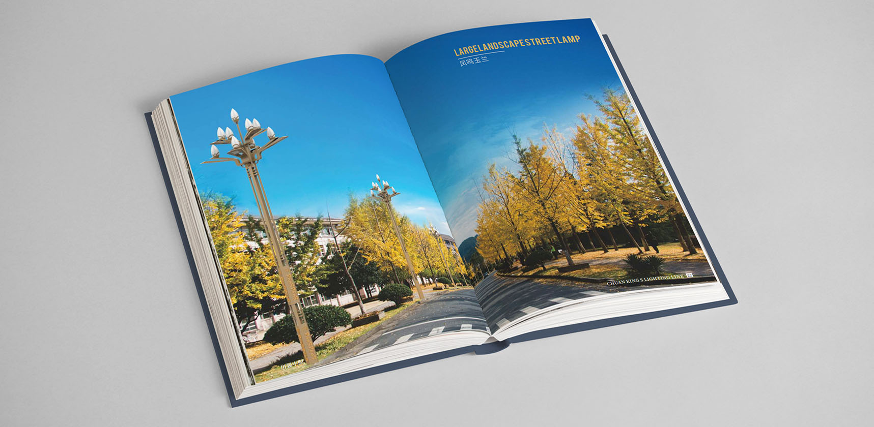 川強(qiáng)中照畫冊(cè)設(shè)計(jì)，產(chǎn)品宣傳冊(cè)