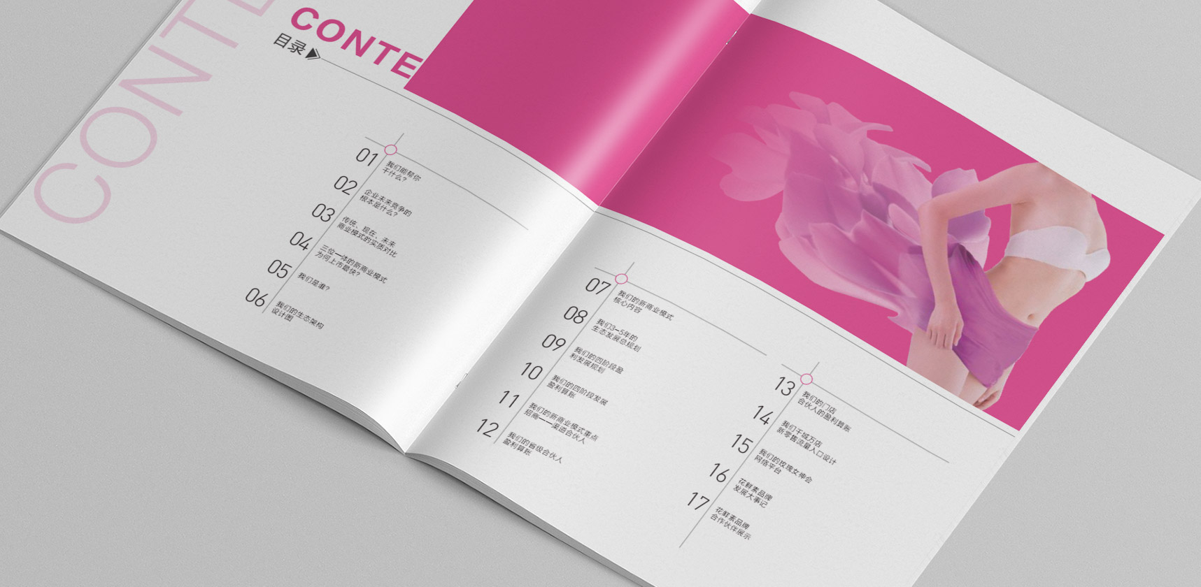 花鮮素招商手冊(cè)，登客品牌設(shè)計(jì)