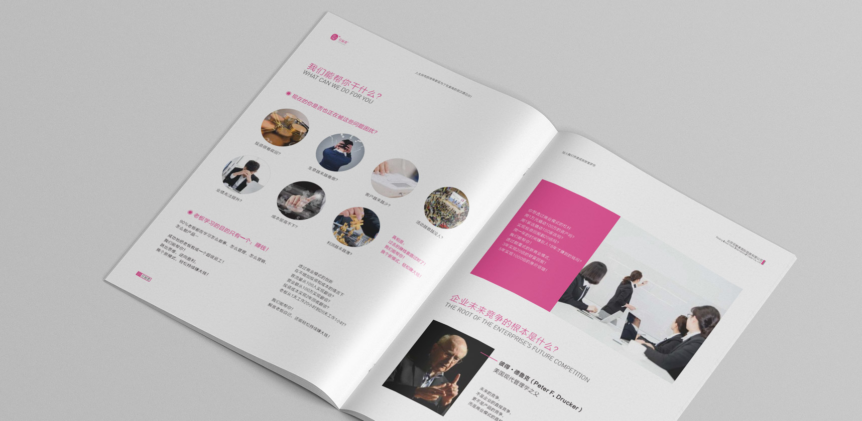 花鮮素招商手冊(cè)，登客品牌設(shè)計(jì)