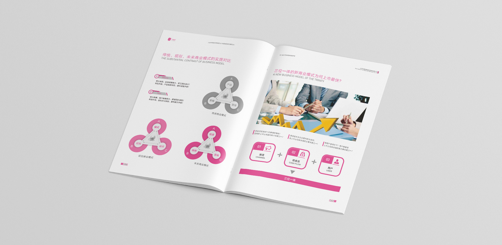 花鮮素招商手冊(cè)，登客品牌設(shè)計(jì)