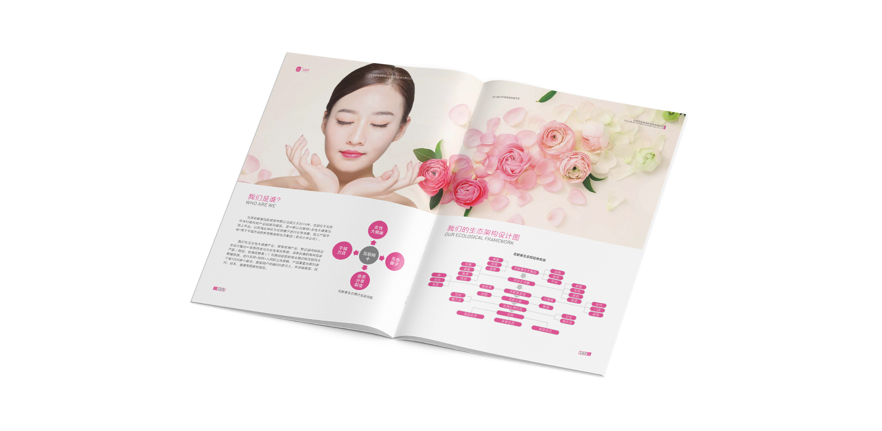 花鮮素招商手冊(cè)，登客品牌設(shè)計(jì)