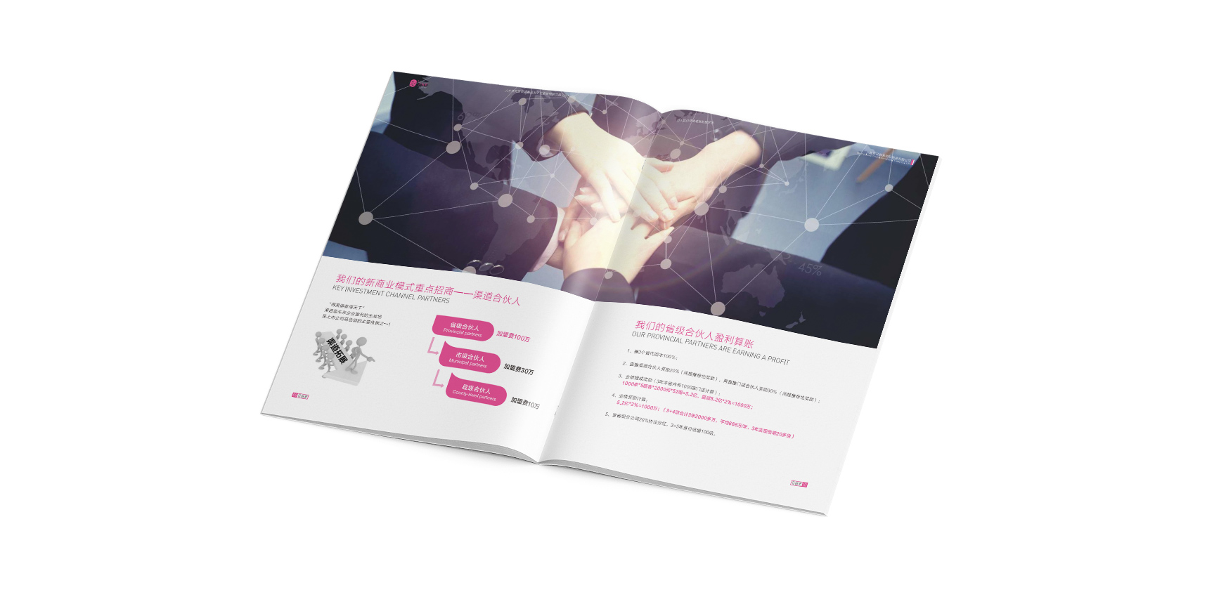 花鮮素招商手冊(cè)，登客品牌設(shè)計(jì)