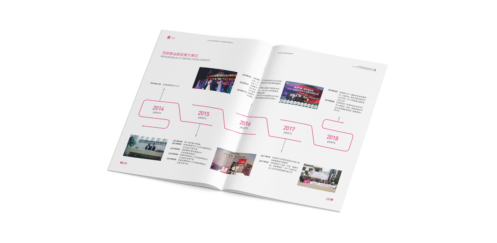 花鮮素招商手冊(cè)登客品牌設(shè)計(jì)