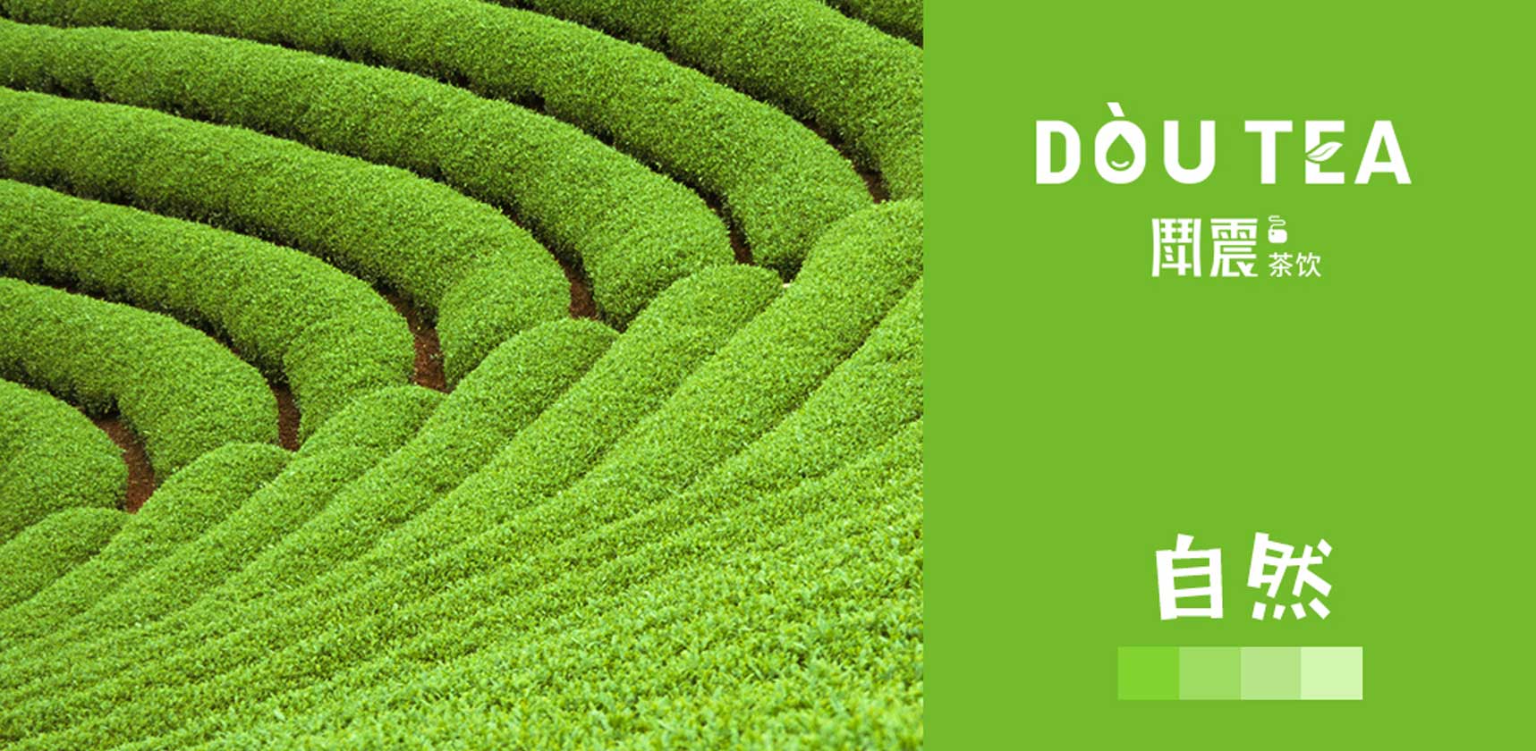 鬥震奶茶logo設(shè)計方案背景