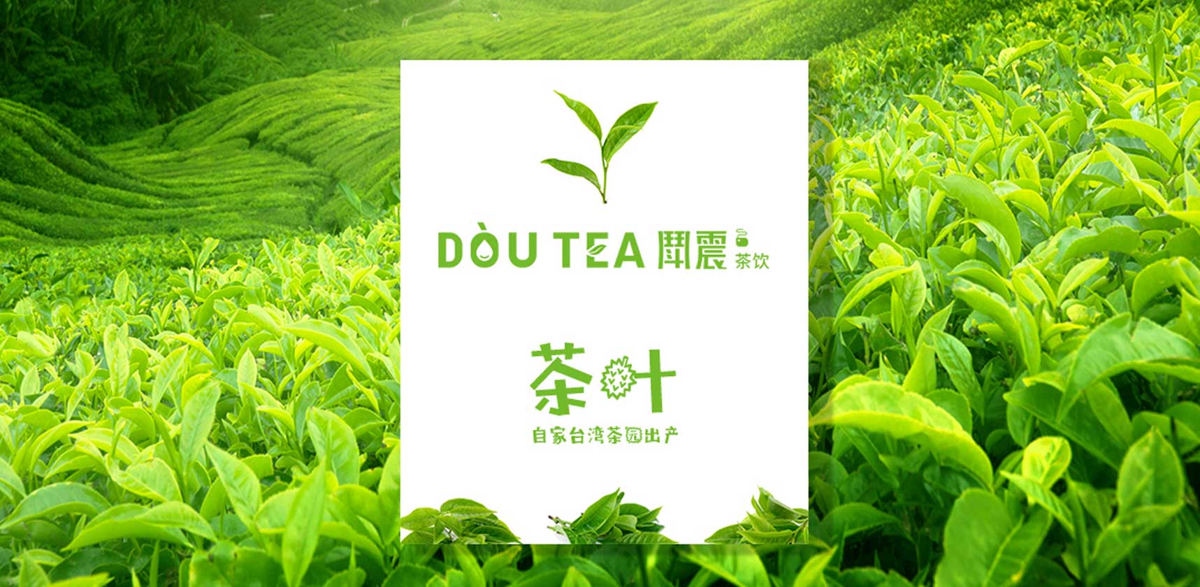 鬥震奶茶飲品品牌設(shè)計方案導(dǎo)入
