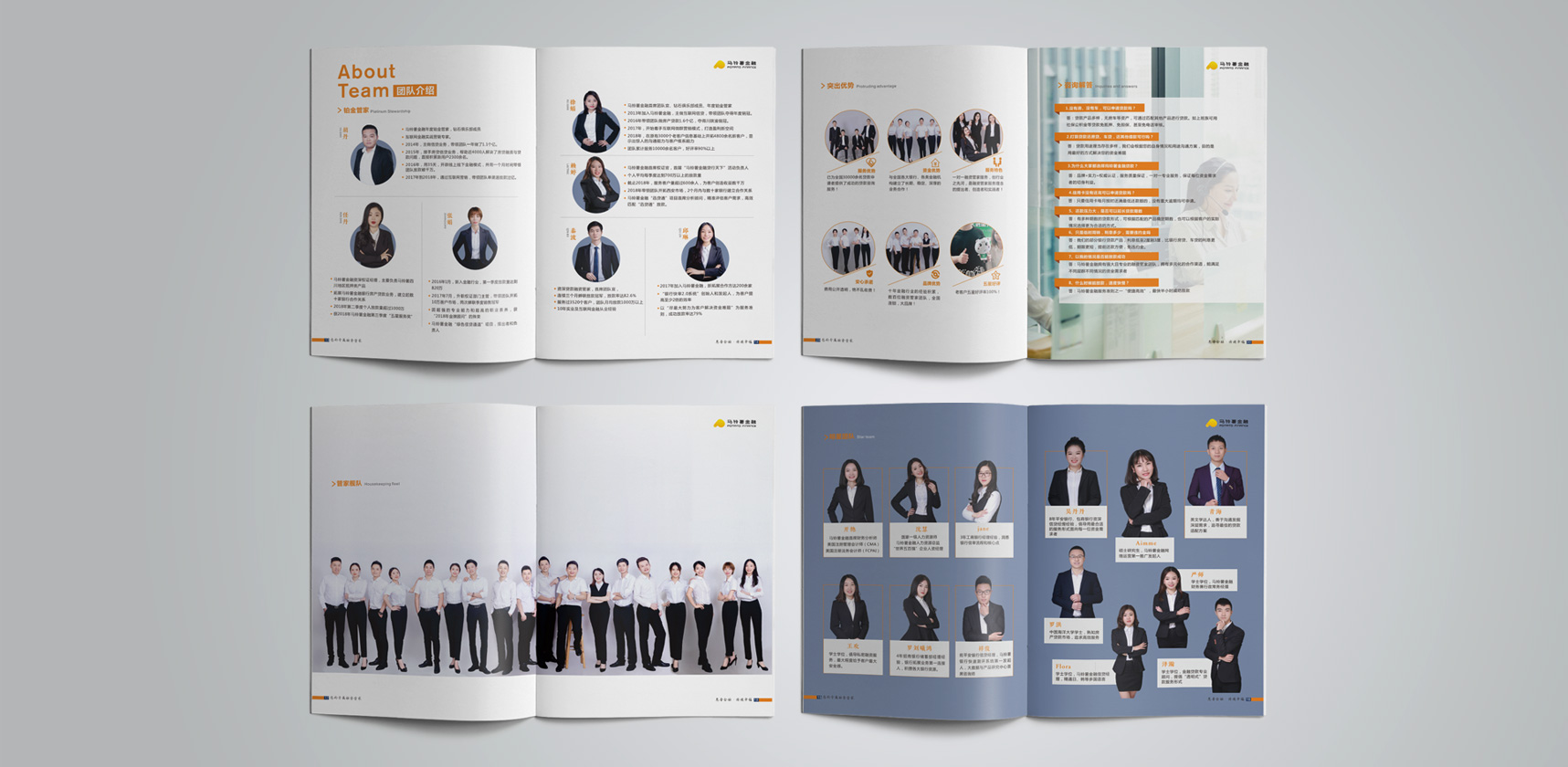 馬鈴薯金融畫冊(cè)設(shè)計(jì)，登客品牌設(shè)計(jì)