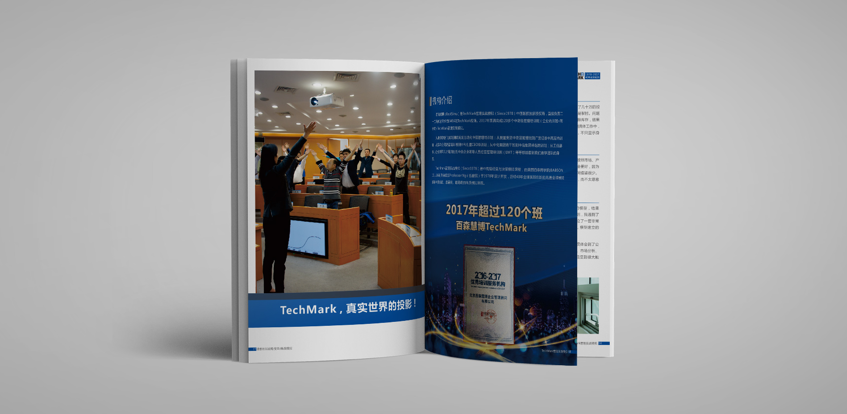 TechMark管理實(shí)戰(zhàn)模擬畫(huà)冊(cè)設(shè)計(jì)