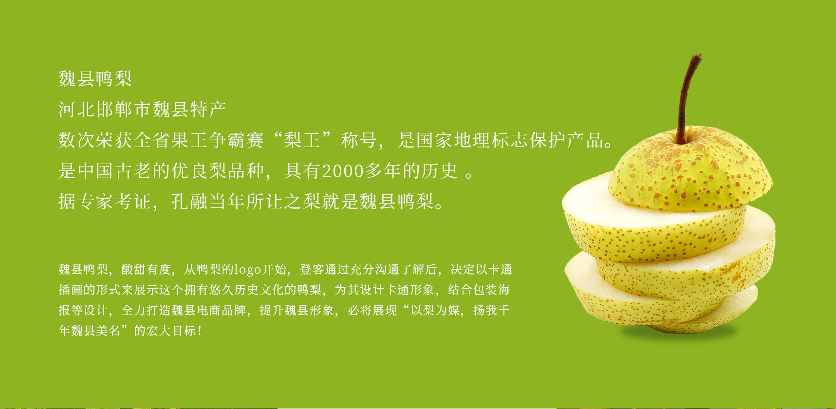 吉祥物設(shè)計(jì)，卡通形象設(shè)計(jì)，插畫設(shè)計(jì)