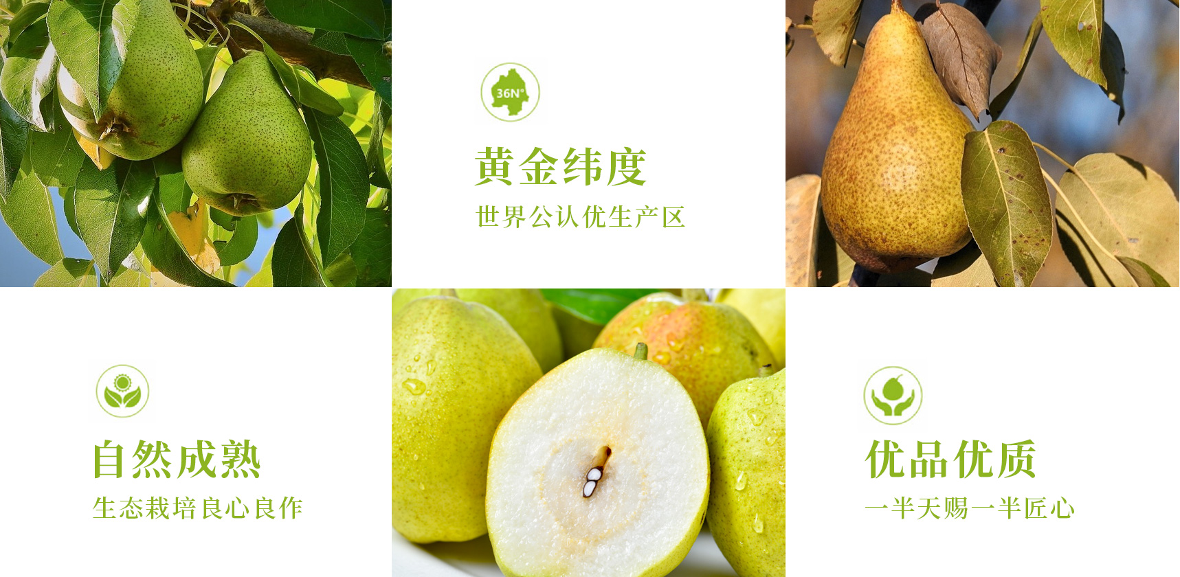 吉祥物設(shè)計(jì)，卡通形象設(shè)計(jì)，插畫設(shè)計(jì)