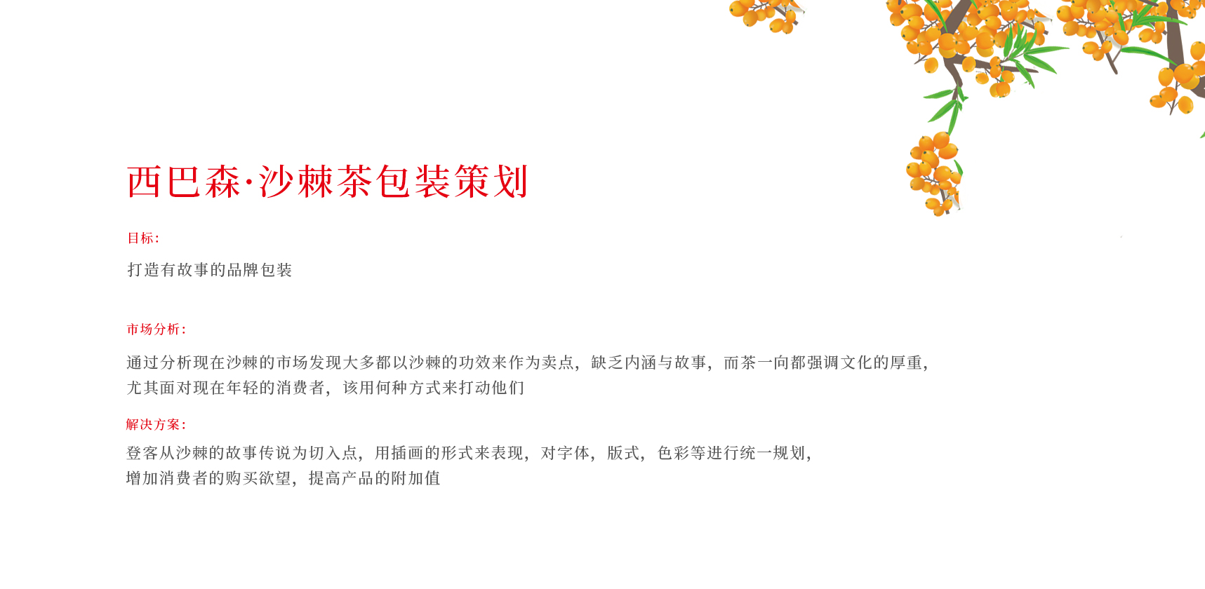 沙棘茶插畫包裝設計